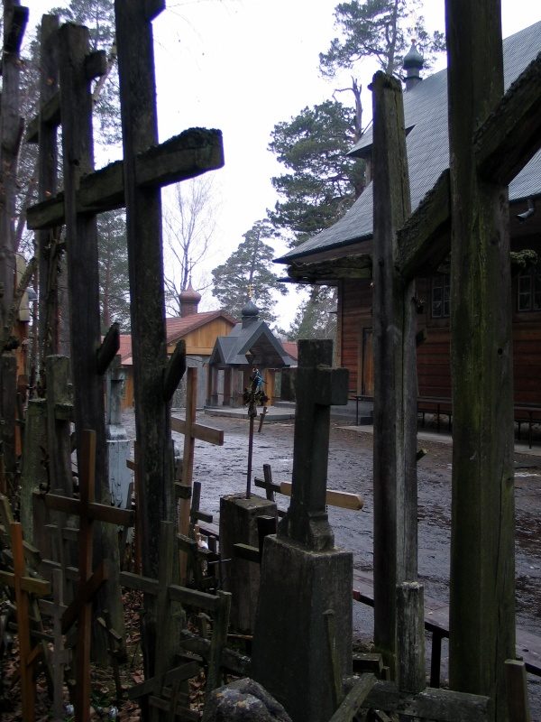 rajd 4000 - Podlasie – zdjęcie 323