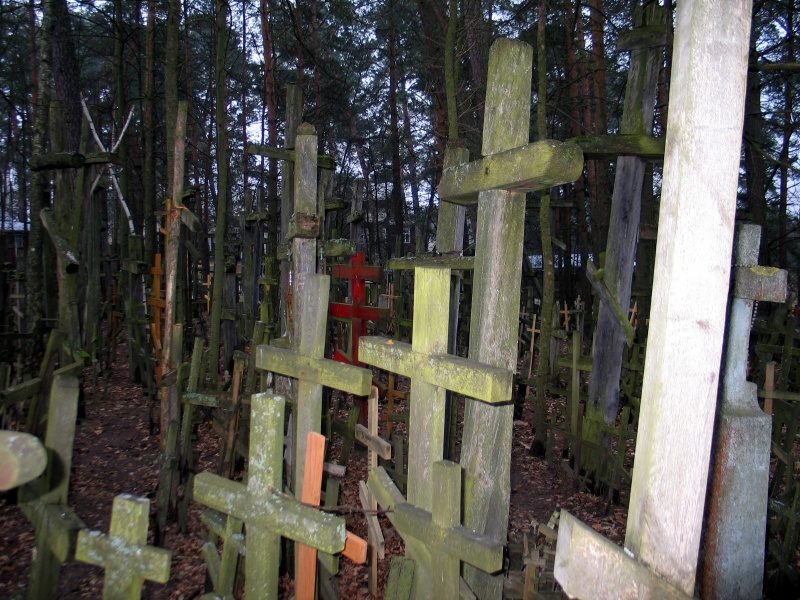 rajd 4000 - Podlasie – zdjęcie 327