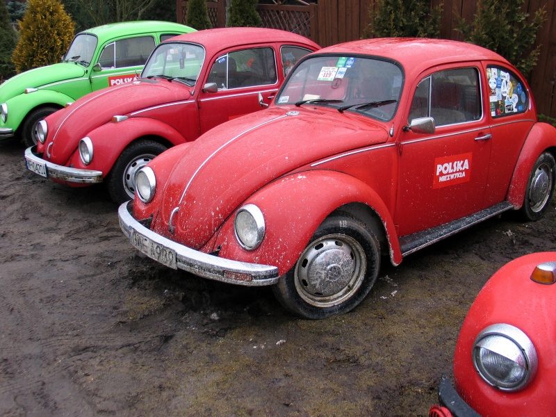 rajd 4000 - Podlasie – zdjęcie 337