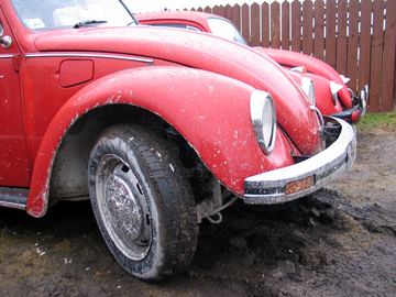 Zdjęcie 338