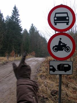 Zdjęcie 362