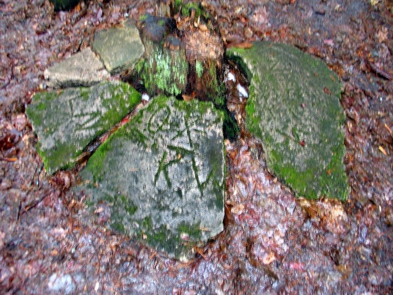 rajd 4000 - Podlasie – zdjęcie 379