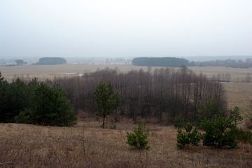 Zdjęcie 38