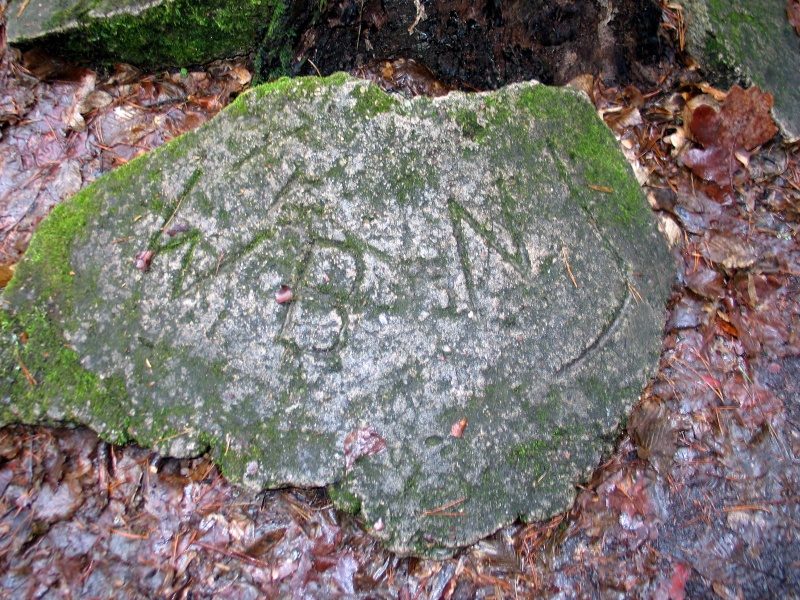 rajd 4000 - Podlasie – zdjęcie 380