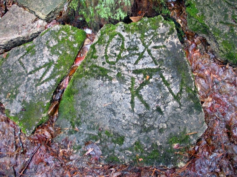rajd 4000 - Podlasie – zdjęcie 381