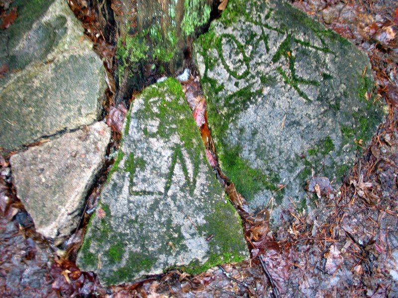 rajd 4000 - Podlasie – zdjęcie 382