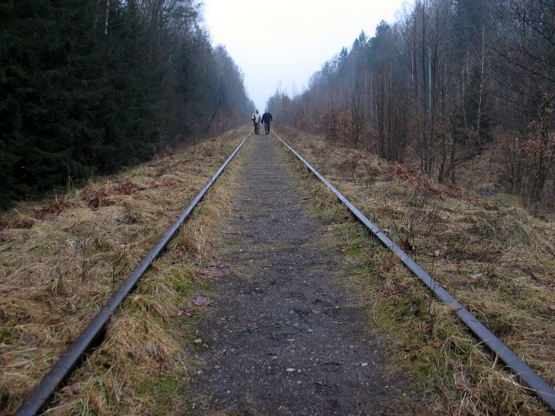 rajd 4000 - Podlasie – zdjęcie 385