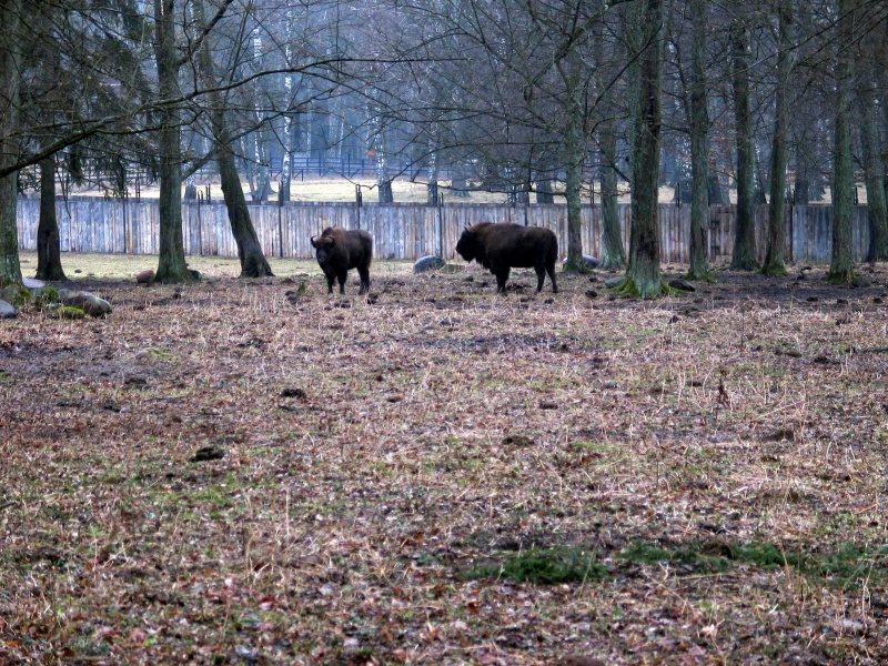 rajd 4000 - Podlasie – zdjęcie 386