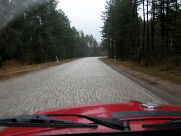 Zdjęcie 395
