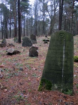 Zdjęcie 406