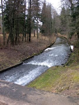 Zdjęcie 435