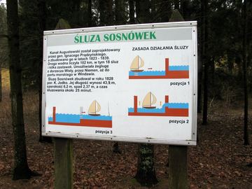 Zdjęcie 437