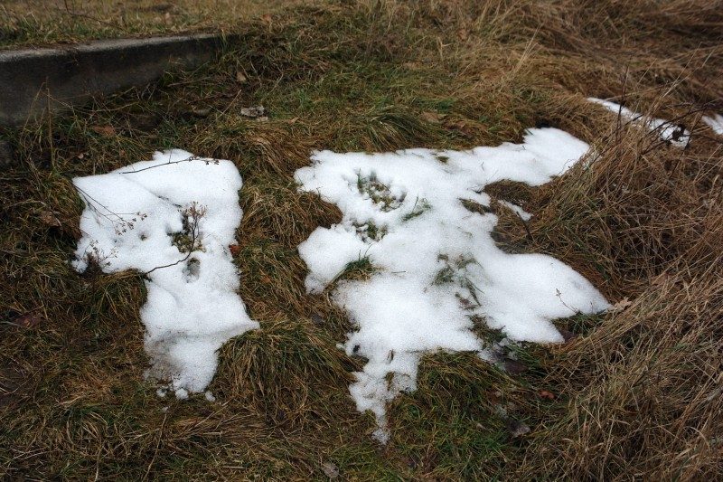 rajd 4000 - Podlasie – zdjęcie 44