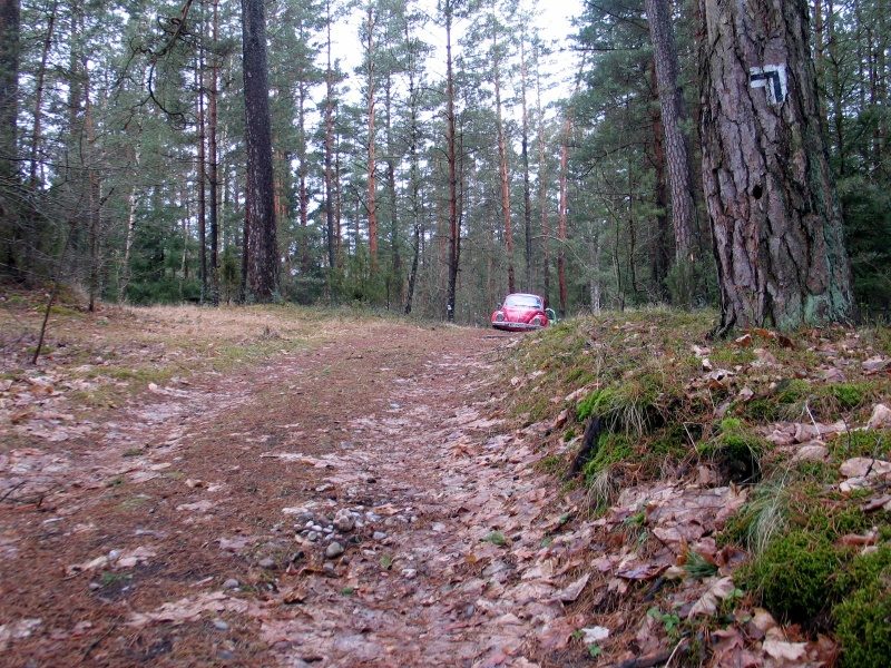 rajd 4000 - Podlasie – zdjęcie 440
