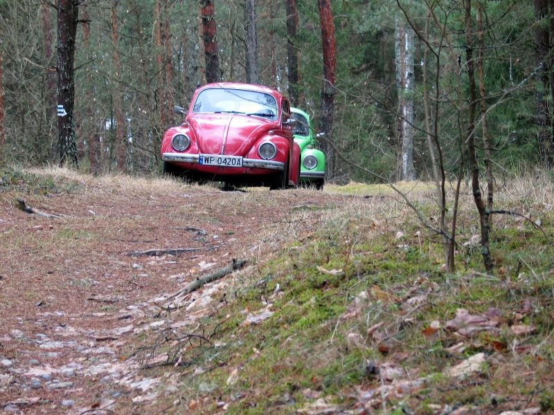 rajd 4000 - Podlasie – zdjęcie 441
