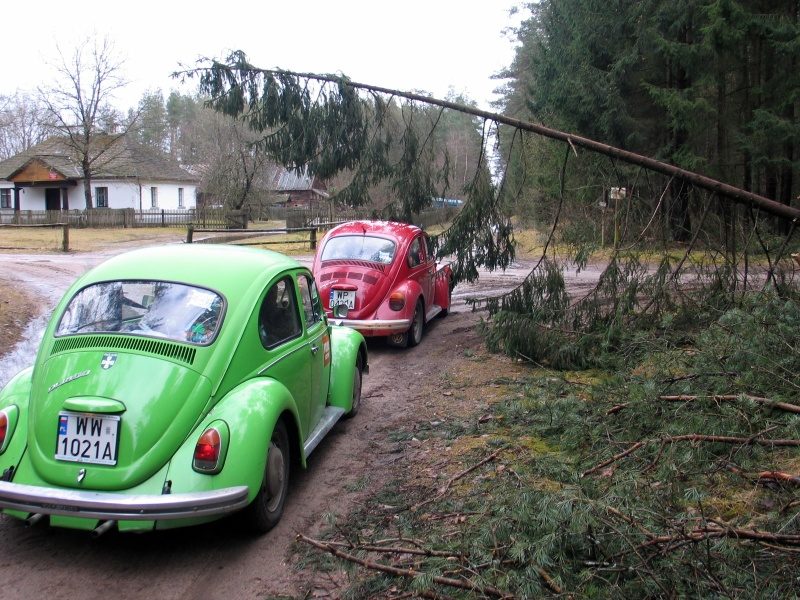 rajd 4000 - Podlasie – zdjęcie 445