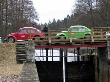 Zdjęcie 449