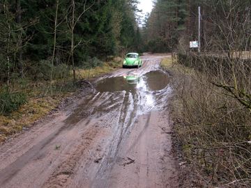 Zdjęcie 453