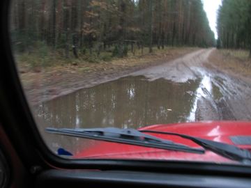 Zdjęcie 462