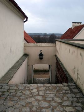 Zdjęcie 467