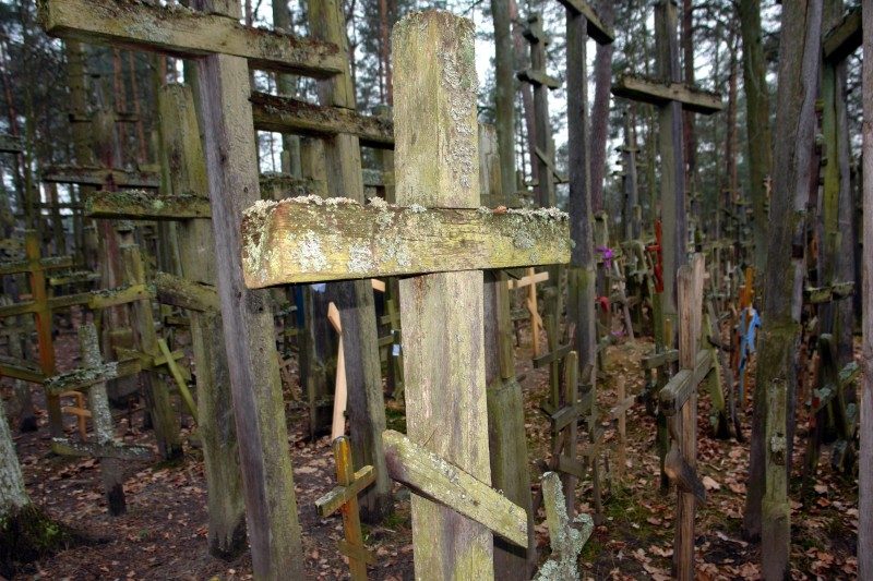 rajd 4000 - Podlasie – zdjęcie 47