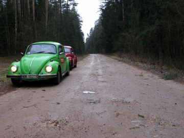 Zdjęcie 483