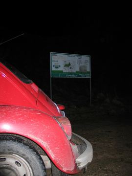 Zdjęcie 490