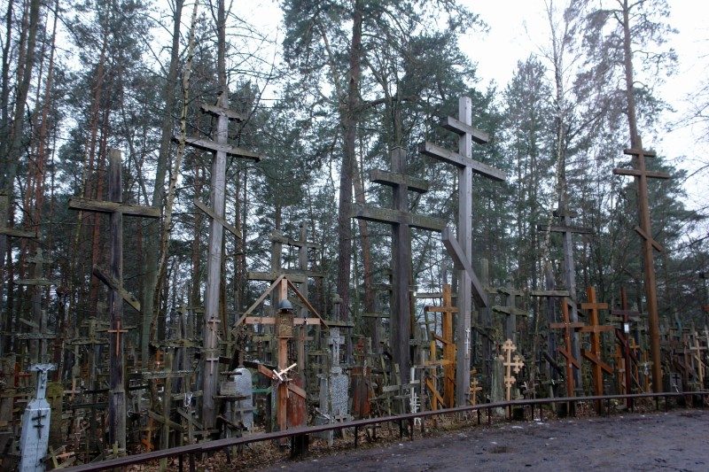 rajd 4000 - Podlasie – zdjęcie 50