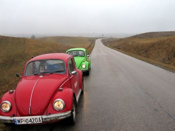 Zdjęcie 504