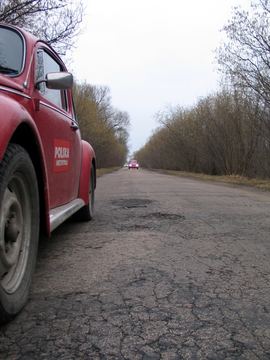 Zdjęcie 510