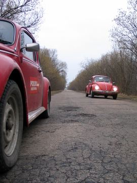 Zdjęcie 511