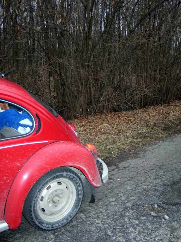 rajd 4000 - Podlasie – zdjęcie 512