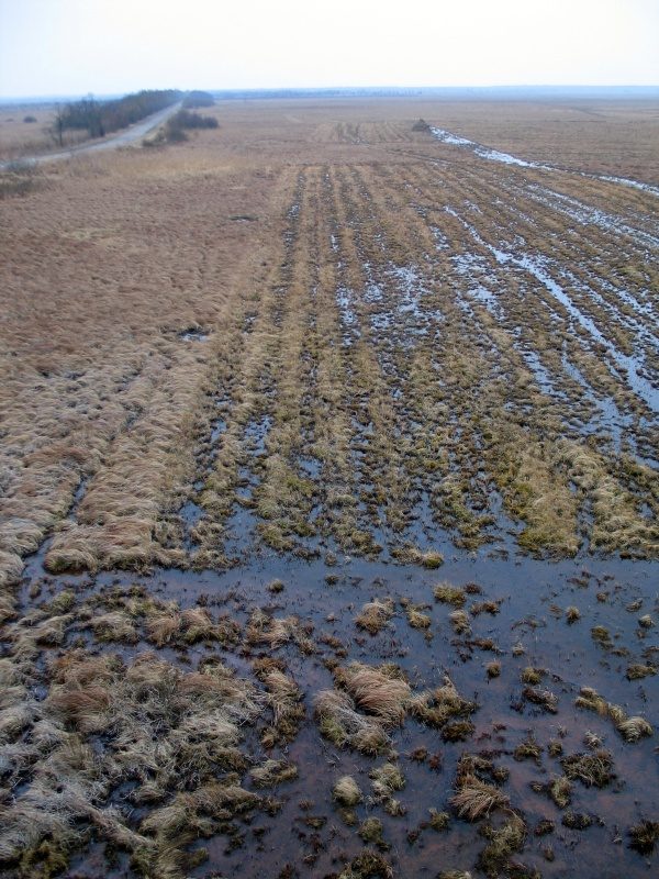 rajd 4000 - Podlasie – zdjęcie 520