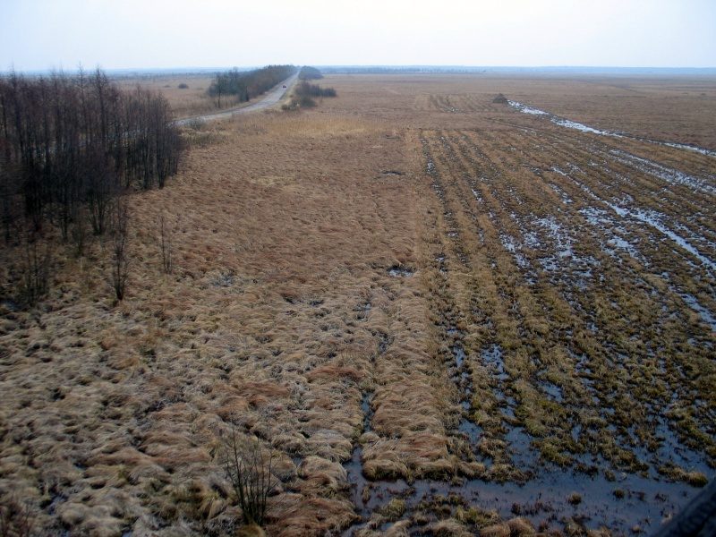 rajd 4000 - Podlasie – zdjęcie 521