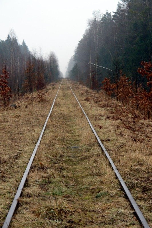 rajd 4000 - Podlasie – zdjęcie 78