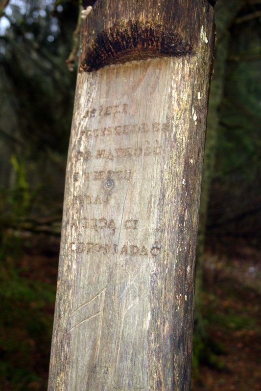 rajd 4000 - Podlasie – zdjęcie 88