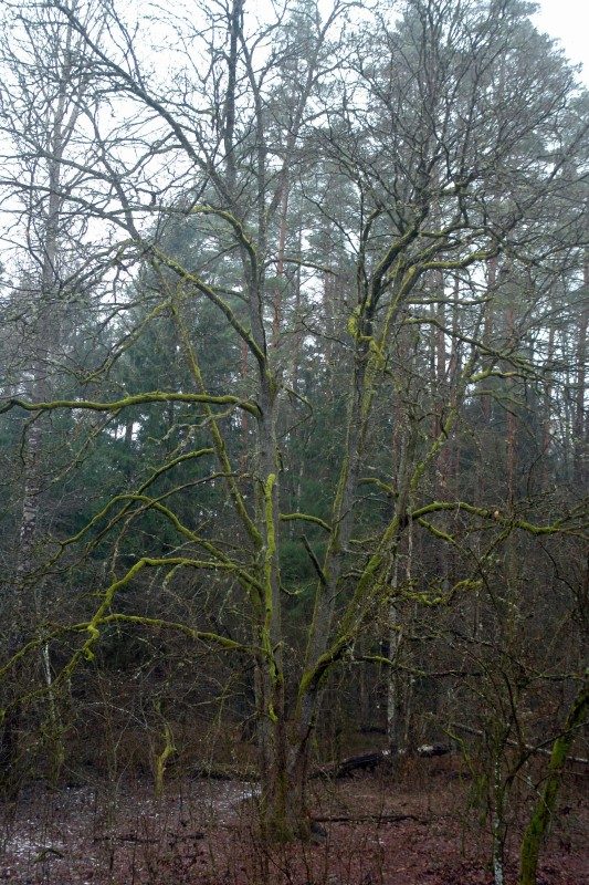 rajd 4000 - Podlasie – zdjęcie 91