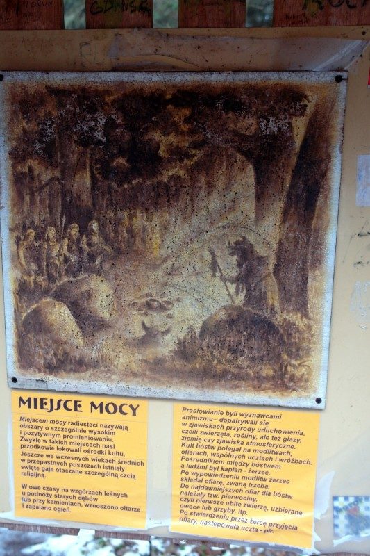 rajd 4000 - Podlasie – zdjęcie 93