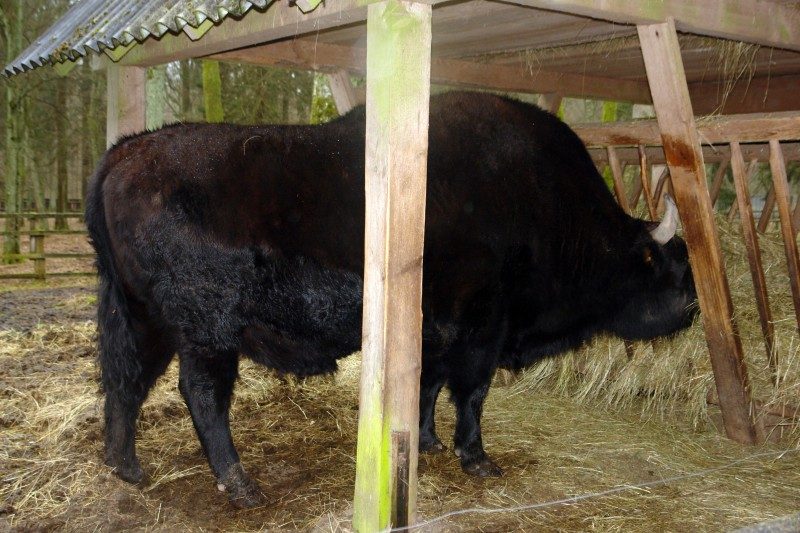 rajd 4000 - Podlasie – zdjęcie 98