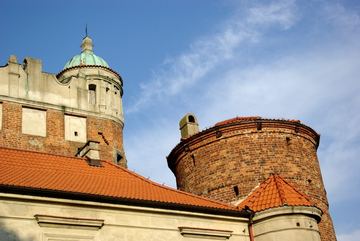 Zdjęcie 102