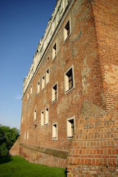 Zdjęcie 103
