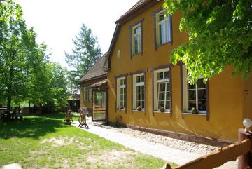 Zdjęcie 113