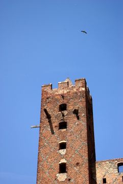 Zdjęcie 127