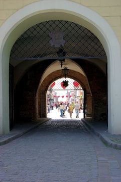 Zdjęcie 136