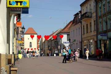Zdjęcie 138