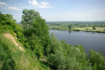 Zdjęcie 145
