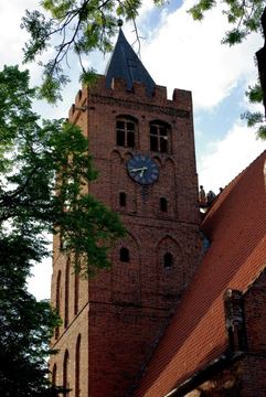Zdjęcie 157