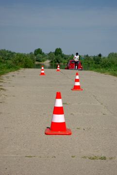 Zdjęcie 16