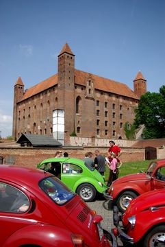 Zdjęcie 187