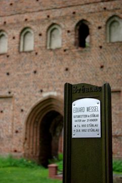 Zdjęcie 209